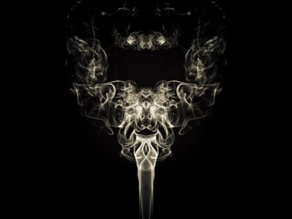 絵の中から何が見えますか？