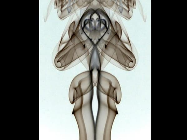 絵の中から何が見えますか？