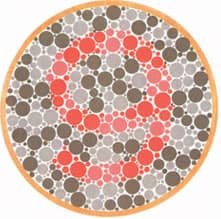 何が見えますか？