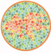 何が見えますか？