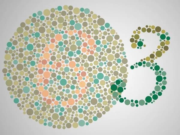 次の絵の中から何が見えますか？