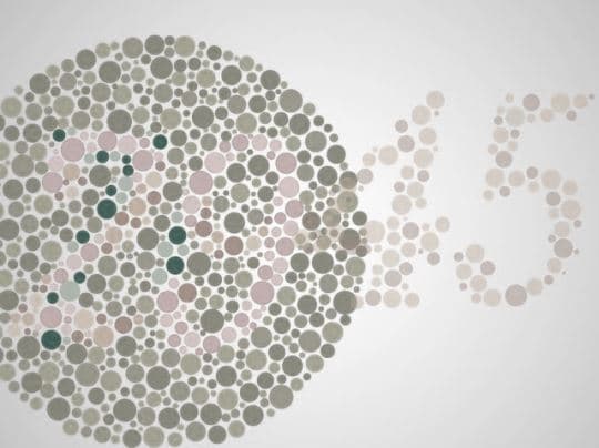 次の絵の中から何が見えますか？