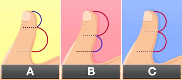 あなたの親指はどのタイプですか？