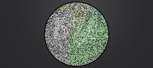 どんな数字が見える？