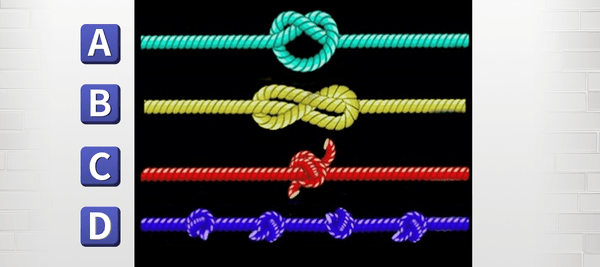 (直感的に) ピンと真っ直ぐに広げたとき、一番長いロープはどれだろうか？