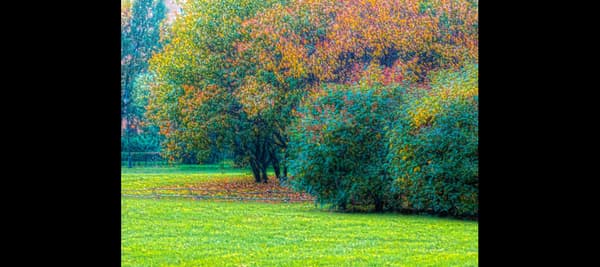 絵の中で、一番最初に目につく色は何色ですか？