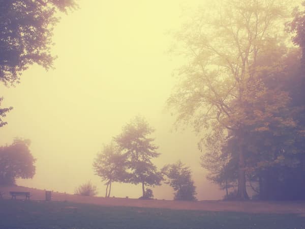 写真から感じられるものは？