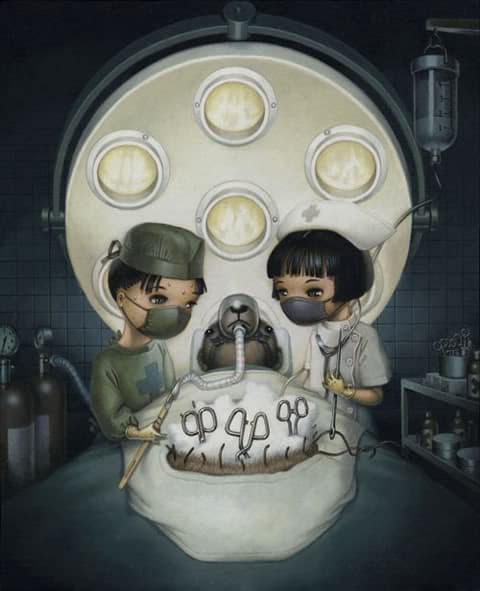 あなたは何が一番最初に見えますか？