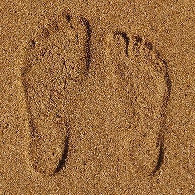 足跡がどのように見えますか？