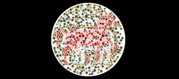 あなたは絵の中からどんな動物が見えましたか？