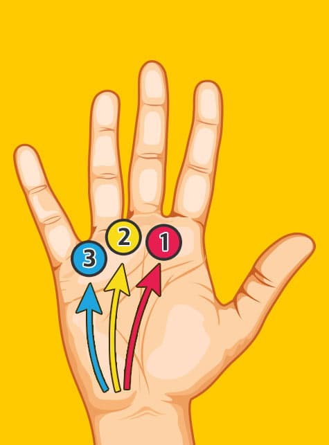 あなたの手相はどんなタイプ？