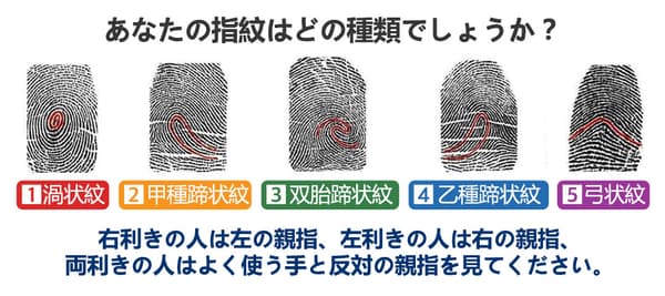 あなたの指紋はどの種類でしょうか？
