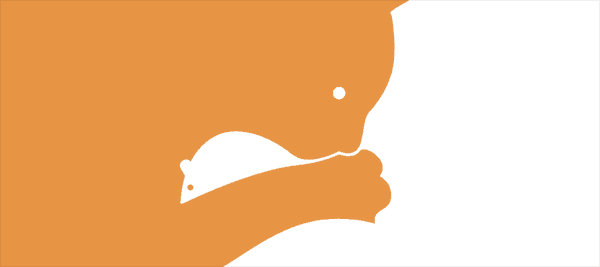 何が一番初めに見えますか？