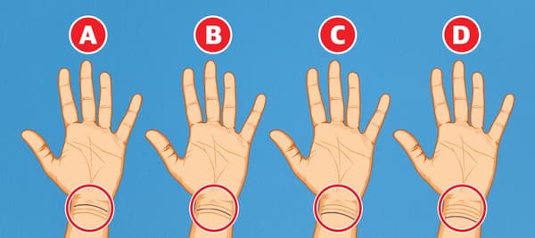 あなたの左の手首線のうち、最も鮮明な線はどれ？