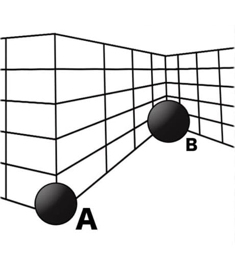 どっちのボールが大きく見えますか？