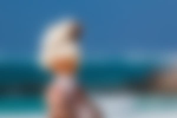 ぼやけている画像の中の答えはなんだろう？