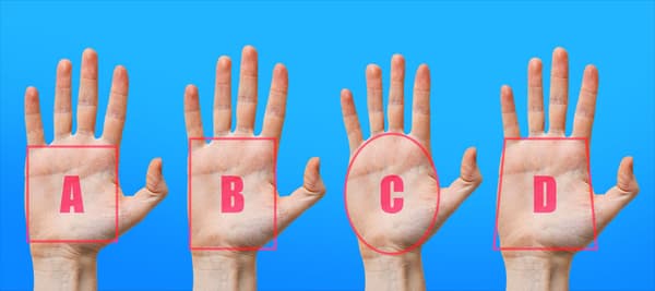 あなたの手のひらの形と似ているイメージを選択してください！