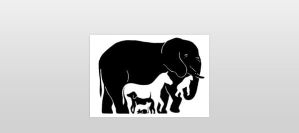 何匹の動物が見えますか？