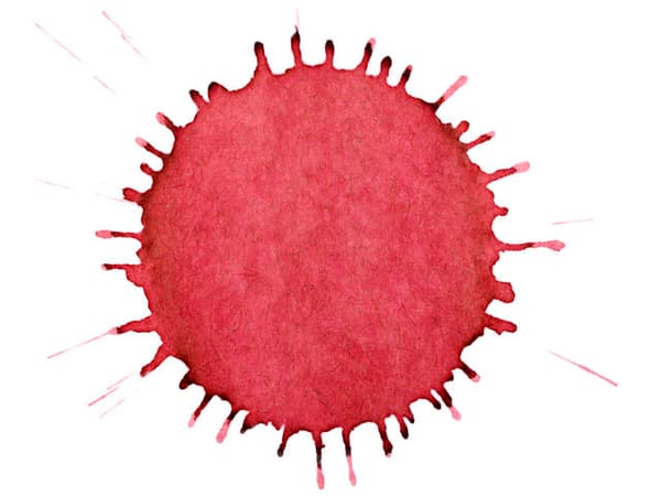 絵が何に見えますか？