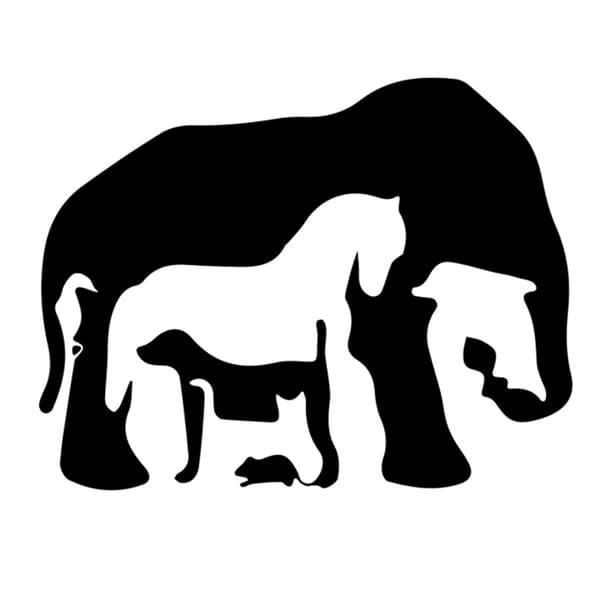 一番最初に見えた動物はどれですか？