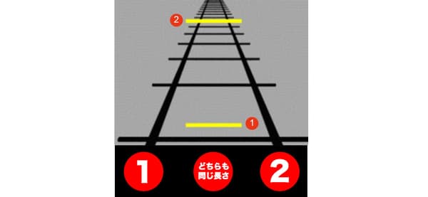線の長さはどっちが長いですか？