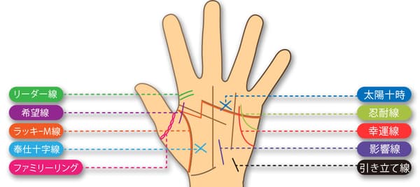 あなたの手相を選択してください。