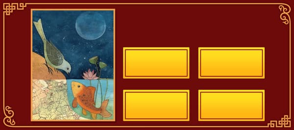 魚と鳥の関係はどんな関係だろう？