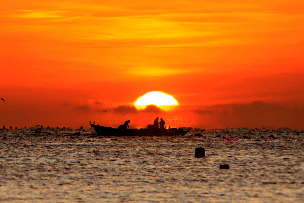 なるほど。さ、外に出てみましょう。これは日の出ですか？日の入りですか？