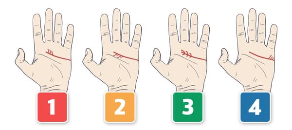 あなたの感情線はどんな形でしょうか？ (手を組み合わせたときに、親指が上に来る手を見てください。)