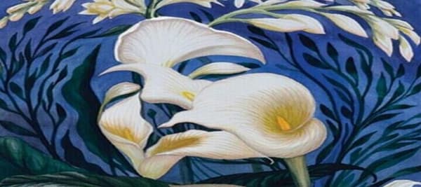 絵の中で何が一番初めに見えますか？