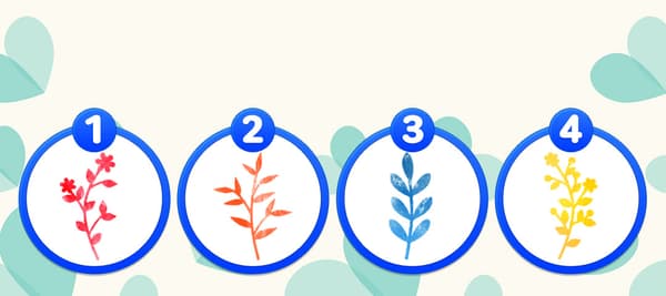 4つの植物の中から、好きなものを選んでください！