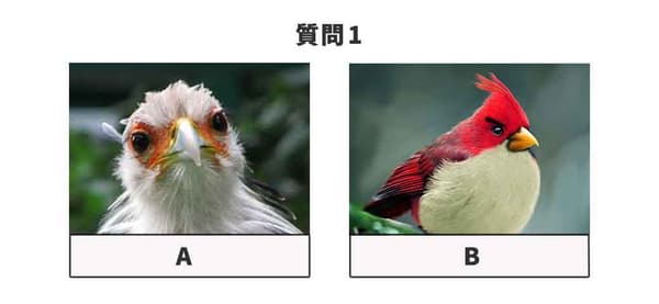 どちらか好きな写真をお選びください