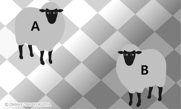 AとBのうち、より明るい色の羊はどっち？