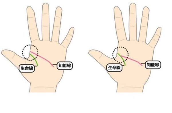 あなたの手相に近いのは？