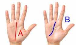 あなたの手相に近いのは？