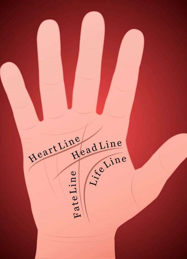 감정선을 찾아보세요! 어떤 모양에 가장 가깝나요?