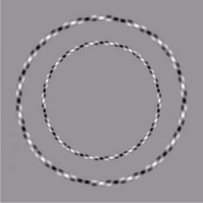 당신에게 보이는 것은?