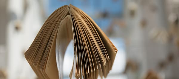 책을 한 권 골라야 한다면?