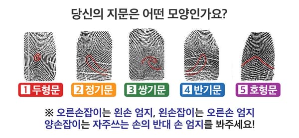 당신의 지문은 어떤 모양인가요?