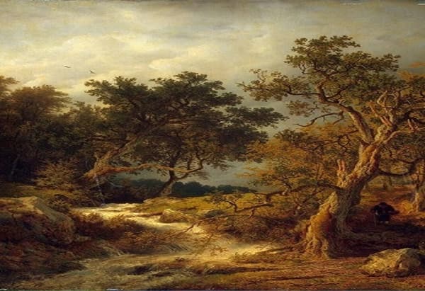 이미지를 보고 드는 느낌은?