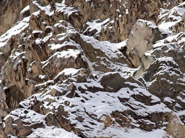 이미지 속 숨어있는 함정! 과연 정체는?