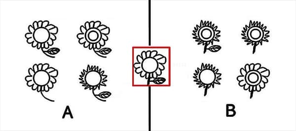 박스 안의 그림은 A, B중 어느 그룹에 속할까요?