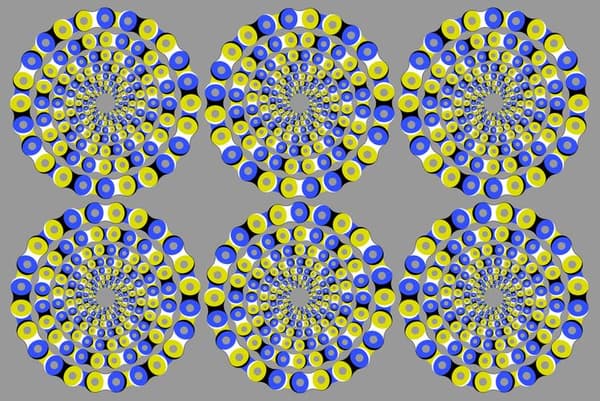 당신은 원이 돌아가는것처럼 보이나요?