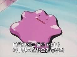 다음 생에도 사람으로 태어나고 싶은가?