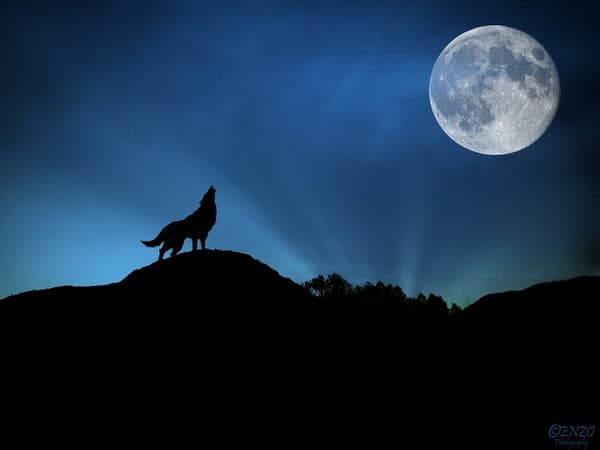 밤이 찾아왔다! 어디에서 잠을 잘까?!