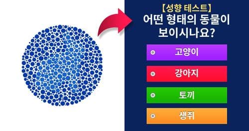 【성향 테스트】 과연 당신은 어떤 동물이 보이시나요?