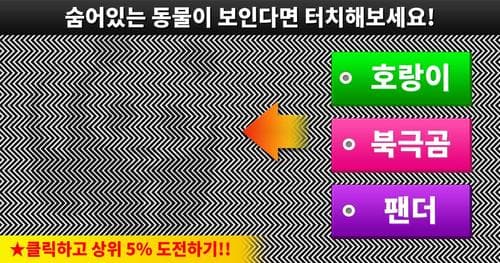 멀미주의! 일반인의 단 5%만 성공한 관찰력테스트 (+5)