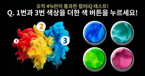 오직 4%만이 통과 한 컬러 IQ테스트!