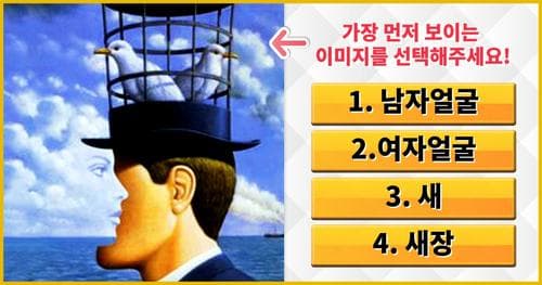 [멘탈강도 진단] 가장 먼저 보이는 이미지를 선택해주세요!
