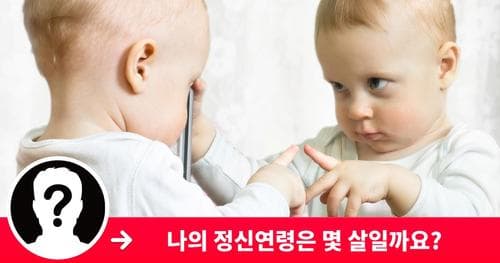 나의 정신 연령은 몇 살?